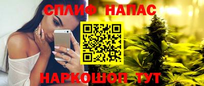 ешки Новодвинск