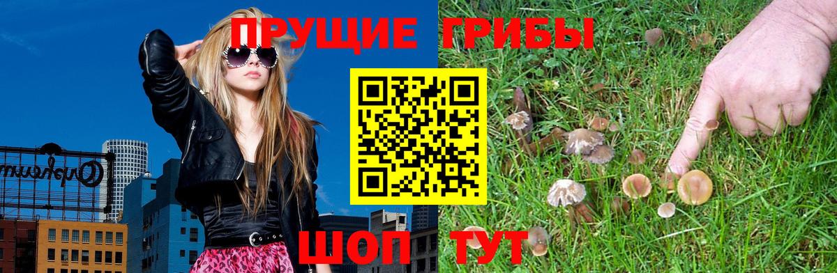 Саров  Галлюциногенные грибы мухоморы  купить наркоту  Вход с VPN  Галлюциногенные грибы мухоморы 