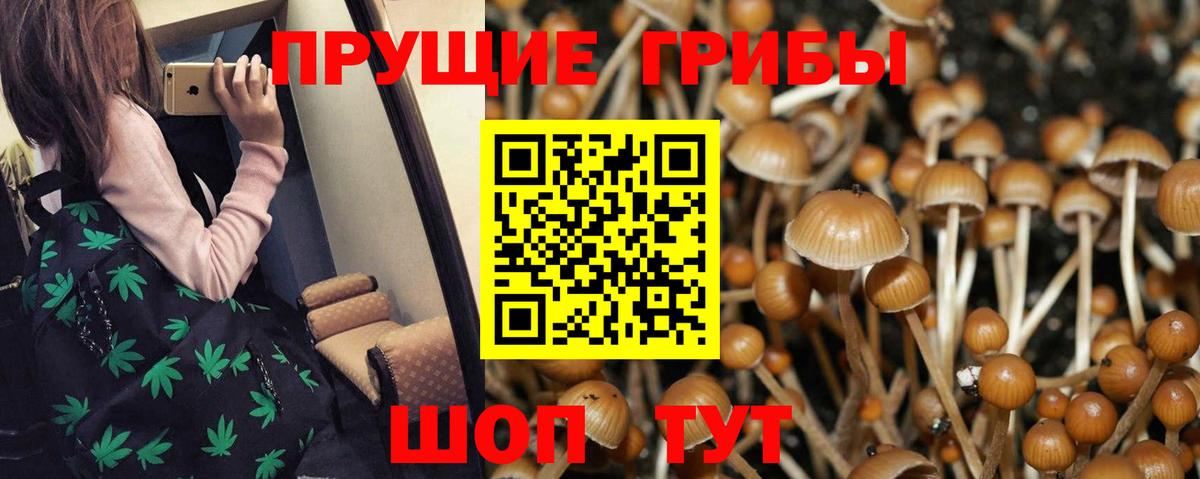 Галлюциногенные грибы мухоморы Саров